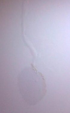 墻內(nèi)水管漏水怎么辦呢？