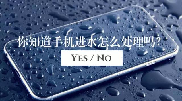 手機(jī)進(jìn)水怎么辦