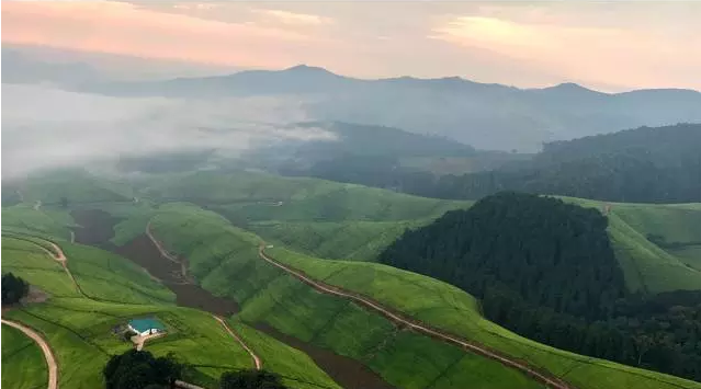 蘋果手機拍照技巧